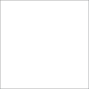 CERAMICA MURO PT00684 BLANCO NIEVES BRILLO 20X20 (1,0)